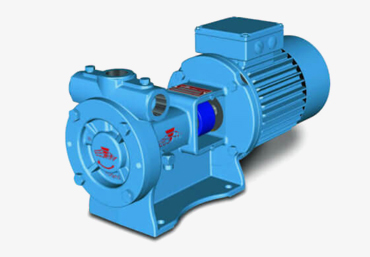 Regenerative Turbine Pumps (Blackmer)